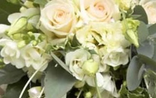 معیارهای ناپخته برای ازدواج
