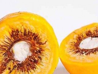 فواید مصرف میوه پیکویی بر روی سلامتی