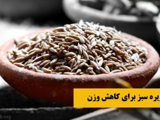 استفاده از زیره سبز برای کاهش وزن و لاغری + کنترل اشتها