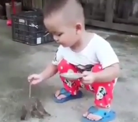 ویدئو:   کوچلوی مهربون