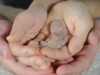 ویدئو:   عجایب خلقت: جنین ۱۳ هفته ای انسان