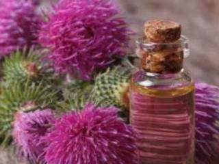 آشنایی با فواید درمانی روغن بابا آدم
