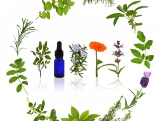 عوارض جانبی مصرف دمنوش های گیاهی
