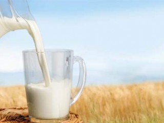 لیست فواید شیر اسب در طب سنتی