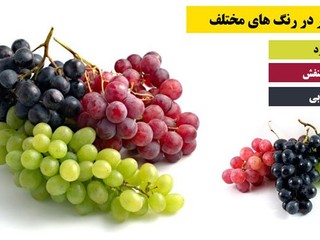 خواص انگور در رنگ های مختلف (هر رنگ انگور و خواص آن)