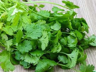 برشماری ویژگیهای مفید روغن گشنیز