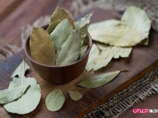 برگ بو به کنترل قندخون کمک می کند