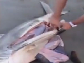 ویدئو :   وقتی که خدا قدرت نمایی می کند