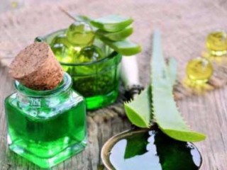 بررسی فواید بینظیر مصرف روغن آلوئه ورا