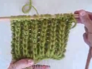 ,ویدئو :  کشباف انگلیسی یا تیغ ماهی