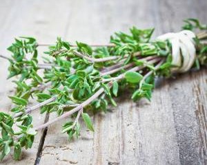 عوارض جانبی آویشن