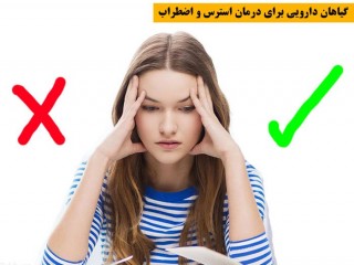 بهترین گیاهان دارویی برای درمان استرس و اضطراب