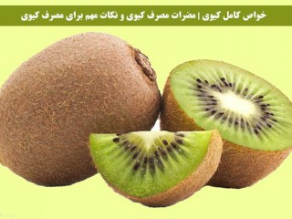 خواص کامل کیوی | مضرات مصرف کیوی و نکات مهم برای مصرف کیوی