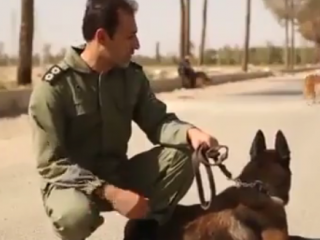 ویدئو :   سگ های پلیس ایران
