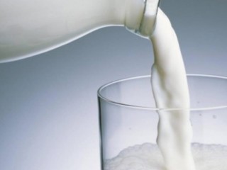 فریب تبلیغات شیر شتر را نخورید