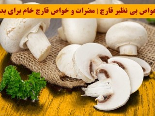 خواص بی نظیر قارچ | مضرات و خواص قارچ خام برای بدن
