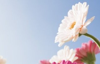 فرمولی برای تقویت پوست