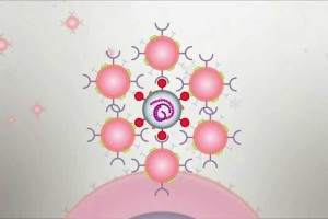 کشف «نانواسفنج‌هایی» در بدن برای کشتن کروناویروس‌ها