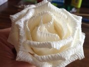 نحوه درست کردن گل رز با کاغذ کشی (مطلب)