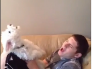 ویدئو  : بازی این سگ با صاحبش دیدنیه ! (مطلب)