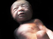 ویدئو : توانایی نوزاد انسان (مطلب)