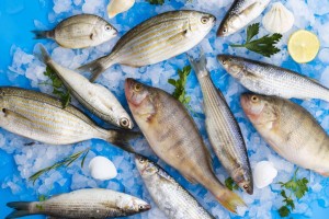 معرفی 10 نوع از لذیذترین وخوش طعم ترین ماهیان جنوب