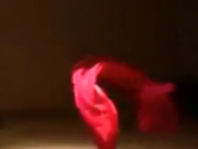 ویدئو :  رقص حریر در باد (مطلب)