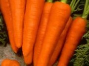 مصرف هویج و این فواید تغذیه ای