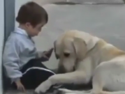 ویدئو :  کودک عقب مانده ذهنی و سگ(تاثیرگذار..) (مطلب)