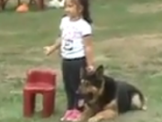 ویدئو : حفاظت سگ ژرمن شفرد از صاحب خردسالش (مطلب)