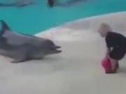 ویدئو :  بازی تماشایی و حرکات حیرت انگیز دلفین باهوش با پسربچه! (مطلب)