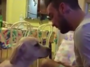 ویدئو  :  عذرخواهى سگ (مطلب)