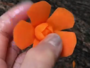 ویدئو :  آموزش میوه آرایی - طرح گل با هویج (مطلب)
