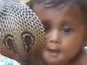 ویدئو :  بازی کودکان  با مار کبری در هند (مطلب)