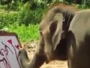 ویدئو :  وقتی فیل ها هم نقاش می شوند! (مطلب)