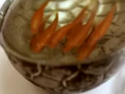 ویدئو : نقاشی بی نظیر سه بعدی در داخل ظروف (مطلب)