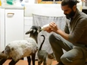 ویدئو :  ویدیو زیبا از رفتار با حیوانات (مطلب)