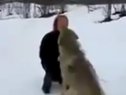 ویدئو : واکنش جالب گرگها به زنی که آنهارا نجات داده (مطلب)