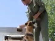 ویدئو :  کلیپ دیدنی از سگ های پلیس ایران (مطلب)