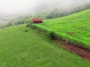 ویدئو :   طبیعت زیبا (مطلب)