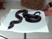 ویدئو :   نقاشی فوق العاده دیدنی سه بعدی "حیوانات واقعی" (مطلب)