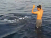 ویدئو :   فیلمی عجیب از نهنگ سواری جوانان بوشهری در خلیج فارس (مطلب)