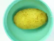 ویدئو :   روش های جالب برای پوست کندن خوراکی های مختلف (مطلب)