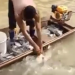 ویدئو :  ماهیگیری به ظالمانه ترین روش _دی دیل (مطلب)