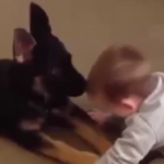 ویدئو :  بچه ها و حیوانها (مطلب)