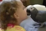 ویدئو :   دوستی جالب بین کودکان با طوطی ها (مطلب)