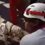 ویدئو :   تلاش سگهای هلال احمر برای نجات افراد از زیر آوار زلزله (مطلب)