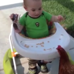 ویدئو :   چالش بچه ها و مرغ و خروسها (مطلب)