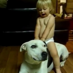 ویدئو :   بازی سگ ها و بچه ها (مطلب)