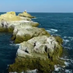 ویدئو :  میدونی "جزیره شیطان" كجای ایرانه و داستان مرموزش چیه!؟